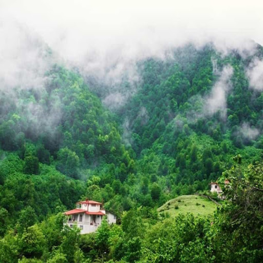 شمال گردی