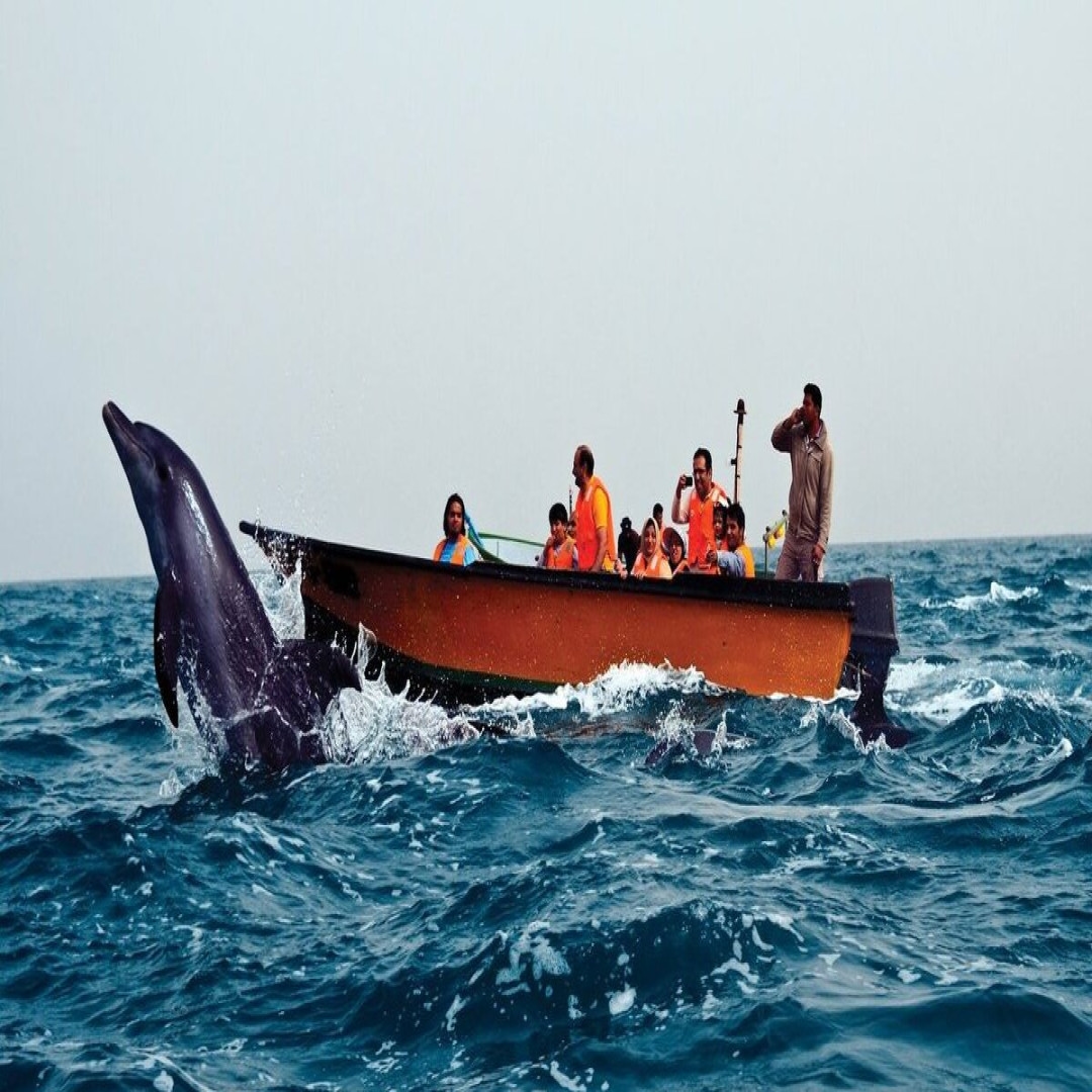 تور جنوب